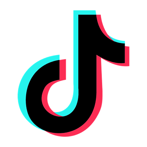 TikTok Icon